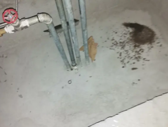 涉县卫生间测漏水价格明细