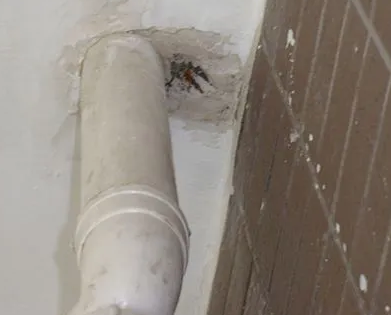 涉县漏水检测哪家好